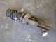 VAUXHALL ASTRA 2014 SHOCK ABSORBER PASSENGER SIDE FRONT NSF 13412607 #RR-000000128