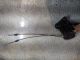 VAUXHALL Astra EXCITE MK6 2014 DOOR CATCH CENTRE LOCK MECHANISM  SOLENOID #RR-000000560