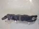 2014 HYUNDAI I30 Bumper Bracket RIGHT 86516A6000 #RR-000002029