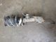 HYUNDAI I30 MK2 (GD) 2014 SHOCK ABSORBER PASSENGER SIDE FRONT NSF 54650A6115 #RR-000002118