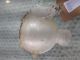 JAGUAR XF 2008 Engine Coolant Bottle #RR-000004224