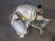 NISSAN Qashqai 2019 Catalytic Converter 147359823R #RR-000005018