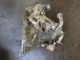 SUZUKI Celerio 2017 Gearbox #RR-000005136