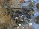 VAUXHALL Corsa 2020 1.2 Petrol Manual 5 Speed GEARBOX  13248569 #RR-000005155