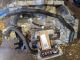 TOYOTA RAV4 2020 Gearbox #RR-000007771