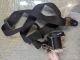 NISSAN Note 2015 Seat Belt OSR #RR-000009169