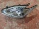 TOYOTA Prius MK3 2009-2014 Headlight / Headlamp NSF #RR-000009602