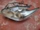 TOYOTA Prius MK3 2009-2014 Headlight / Headlamp NSF #RR-000009615