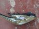 TOYOTA Prius MK3 2009-2014 Headlight / Headlamp OSF #RR-000009629