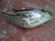 TOYOTA Prius MK3 2009-2014 Headlight / Headlamp OSF #RR-000009630