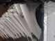 TOYOTA Prius MK3 2009-2014 Wing NSF (SILVER)  #RR-000009712