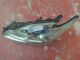 TOYOTA Prius MK3 2009-2014 Headlight / Headlamp NSF #RR-000010112