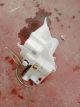 TOYOTA Prius MK3 2009-2014 Windscreen Washer Bottle #RR-000010774