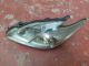 TOYOTA Prius MK3 2009-2014 Headlight / Headlamp NSF #RR-000010970