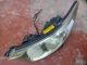 TOYOTA Estima MK3 2007-2014 Headlight / Headlamp NSF #RR-000011284