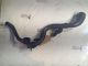 NISSAN Qashqai 2014 Air Filter Box Assembly Hose 0281006029 #RR-000011755