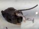 KIA SPORTAGE 2019 Brake Caliper NSF #RR-000012302
