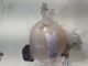VAUXHALL CROSSLAND 2022 Engine Coolant Bottle 980077728002 #RR-000012490