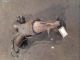 SUZUKI SWIFT 2008 Catalytic Converter #RR-000012703