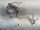 SUZUKI SWIFT 2008 Windscreen Washer Bottle #RR-000012805
