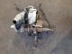 SKODA SUPERB 2017 Turbocharger 04L253010 #RR-000013046