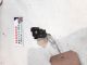 SKODA SUPERB SE TDI DSG MK2 (TYPE 3V) 2017 Airbag Crash Sensor 108156154 #RR-000013091