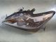 FORD FOCUS 2009 Headlight / Headlamp NSF 8M5113W030BD #RR-000013235