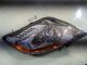 FORD KUGA 2012 Headlight / Headlamp OSF BV41-13D154-BA #RR-000013388