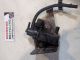 BMW 1 SERIES 2007 Vacuum Solenoid Valve 7805391 #RR-000013876