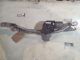 BMW 5 SERIES 2010 Windscreen Wiper Motor 7272452 #RR-000015064