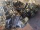 MG ZS EXCLUSIVE VTI-TECH MK2 (ZS11) 2021 Complete Engine 15S4C-XS #RR-000016156