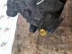 N/A N/A N/A N/A Air Condition A/C Air Con Compressor Pump 9651910980 #RR-000016350