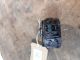TOYOTA C-HR 2021 Horn Relay 86570-12030 #RR-000016744