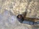 - -  Ignition Coil Connector #RR-000017009