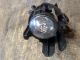 - -  Front Fog Light NSF 89210094 #RR-000017251