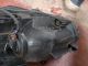 TOYOTA Prius  Headlight / Headlamp OSF #RR-000018886