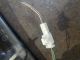 TOYOTA Prius  Bootlid Tailgate Spoiler 76085-28131 #RR-000019051