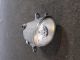 TOYOTA Prius  Front Fog Light NSF 81220-0D042 #RR-000019121