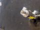    Fuel Injector #RR-000019381