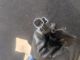    Exhaust Oxygen Lambda Sensor OUTLET 6M51-12B591-CA #RR-000020874