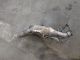 MERCEDES SPRINTER 2014 Catalytic Converter A9064900200 #RR-000021453