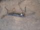 MERCEDES SPRINTER 313 CDTI LWB MK2 FL (906 NCV3) 2014 Steering Rack A9064601800 #RR-000021568