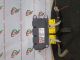 VAUXHALL ZAFIRA TOURER SRI CDTI MK2 (C) (A3470) 2015 Airbag Sensor ECU / Airbag ECU 13589689 #RR-000021895