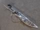 BMW 6 SERIES 2014 Indicator Turn Signal Light 7221859 #RR-000022022