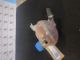 FIAT 500L LOUNGE MK1 (73) 2013 Engine Coolant Bottle 51881755 51931808 51881757 #RR-000022298