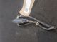 VAUXHALL ASTRA SRI MK7 (K) (3600) 2016 Windscreen Washer Pump 13349273 #RR-000022512