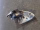    Wing Mirror / Side View Mirror OSF E20210077 #RR-000022544