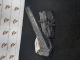 BMW 1 SERIES F20    Accelerator Pedal 3542-6853176/12037313DE #RR-000023141