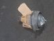    Front Fog Light NSF #RR-000023171