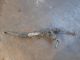 VAUXHALL ASTRA K MK7 2016-2021 STEERING RACK #RR-000023319